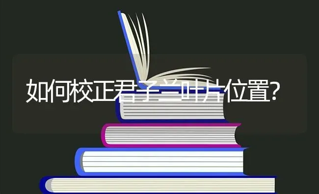 如何校正君子兰叶片位置? | 养殖知识