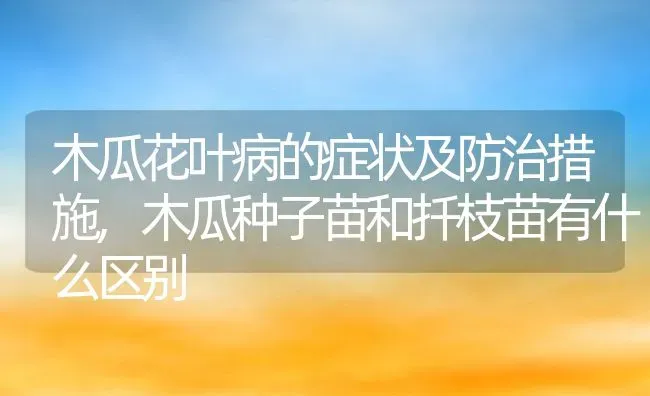 木瓜花叶病的症状及防治措施,木瓜种子苗和扦枝苗有什么区别 | 养殖学堂