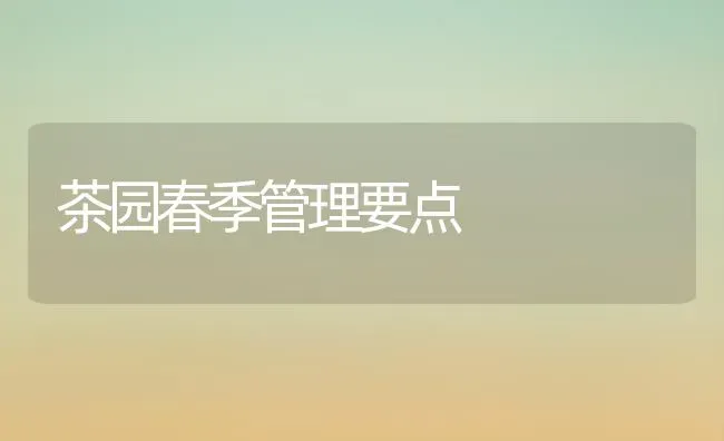 茶园春季管理要点 | 养殖技术大全