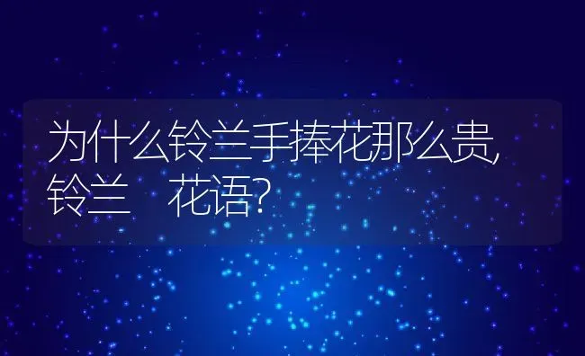 为什么铃兰手捧花那么贵,铃兰 花语？ | 养殖科普