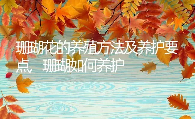 珊瑚花的养殖方法及养护要点,珊瑚如何养护 | 养殖学堂