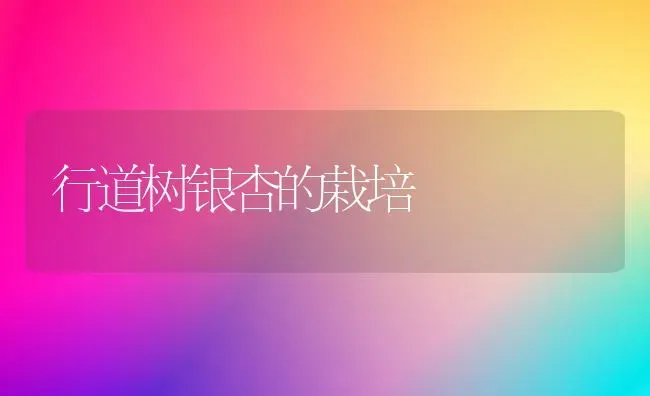 行道树银杏的栽培 | 养殖知识