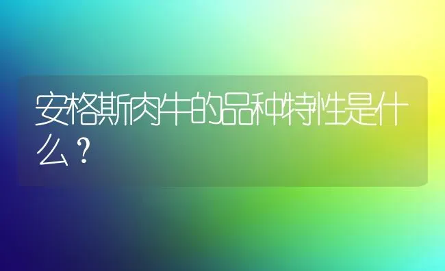 安格斯肉牛的品种特性是什么? | 养殖技术大全