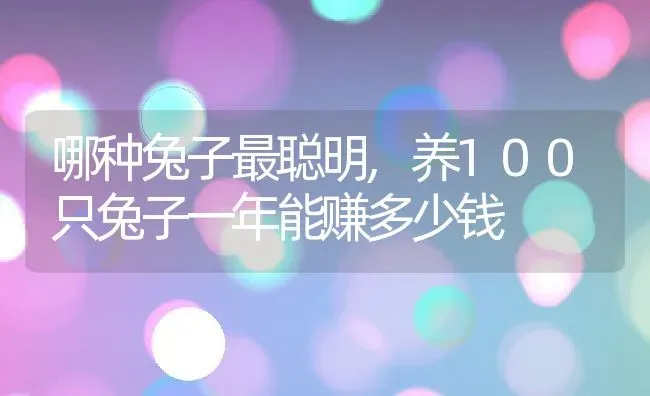 哪种兔子最聪明,养100只兔子一年能赚多少钱 | 养殖资料