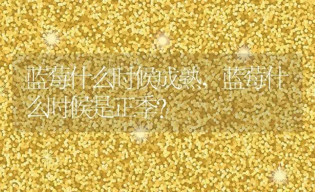 蓝莓什么时候成熟,蓝莓什么时候是正季？ | 养殖科普