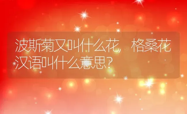 波斯菊又叫什么花,格桑花汉语叫什么意思？ | 养殖科普