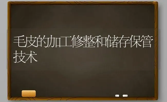 毛皮的加工修整和储存保管技术 | 养殖技术大全