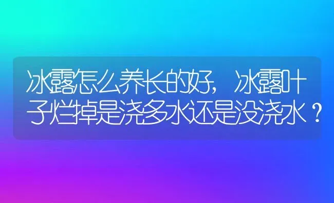 冰露怎么养长的好,冰露叶子烂掉是浇多水还是没浇水？ | 养殖科普