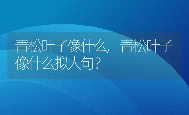 青松叶子像什么,青松叶子像什么拟人句？ | 养殖科普