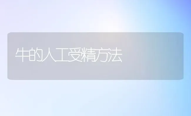 牛的人工受精方法 | 养殖知识