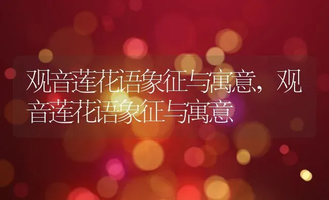 观音莲花语象征与寓意,观音莲花语象征与寓意 | 养殖科普