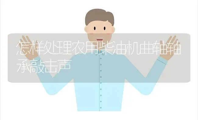 怎样处理农用柴油机曲轴轴承敲击声 | 养殖知识