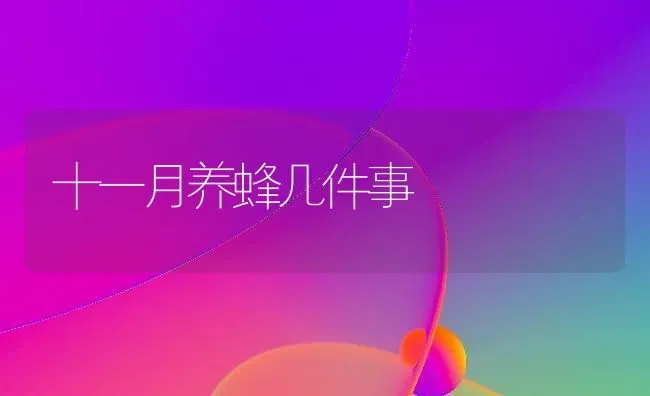 十一月养蜂几件事 | 养殖知识