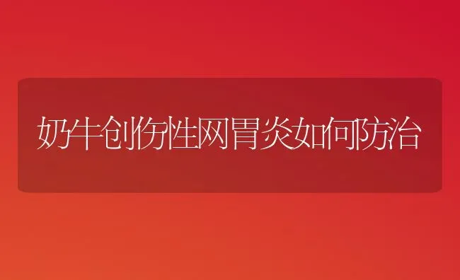 奶牛创伤性网胃炎如何防治 | 养殖技术大全