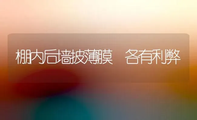 棚内后墙披薄膜 各有利弊 | 养殖知识