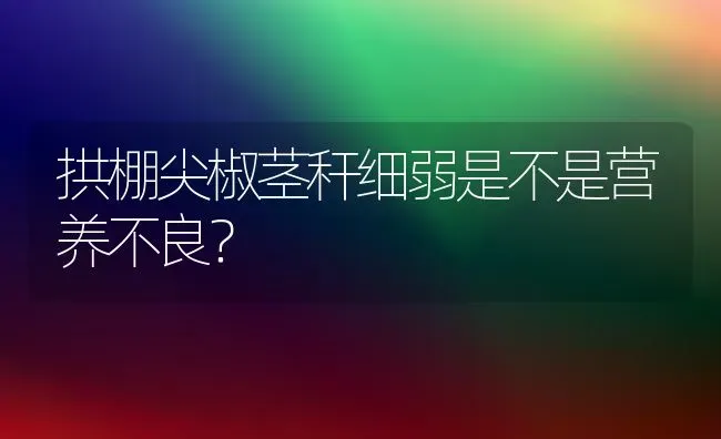 拱棚尖椒茎秆细弱是不是营养不良? | 养殖知识