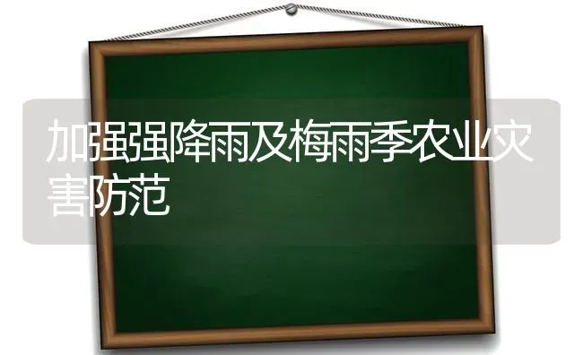 加强强降雨及梅雨季农业灾害防范 | 养殖技术大全