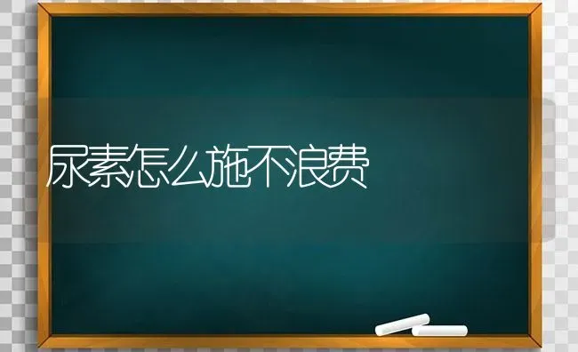 尿素怎么施不浪费 | 养殖技术大全