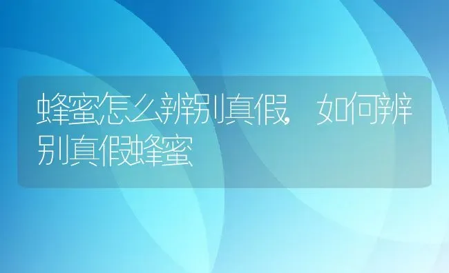 蜂蜜怎么辨别真假,如何辨别真假蜂蜜 | 养殖学堂