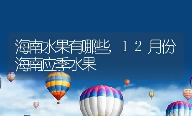 海南水果有哪些,12月份海南应季水果 | 养殖学堂