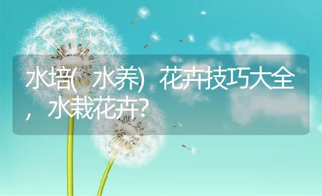 水培(水养)花卉技巧大全,水栽花卉？ | 养殖科普