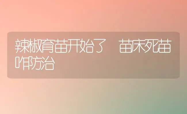 辣椒育苗开始了 苗床死苗咋防治 | 养殖技术大全