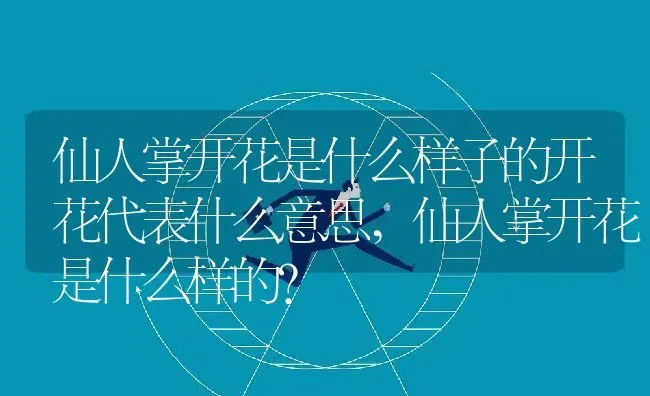 汉尔顿净水器,汉尔顿净水器价格表 | 养殖科普