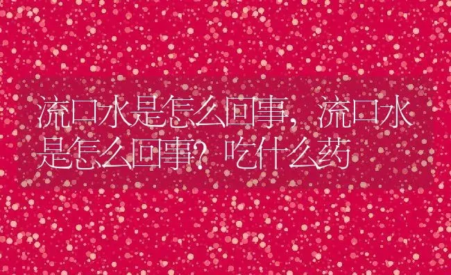 流口水是怎么回事,流口水是怎么回事?吃什么药 | 养殖资料