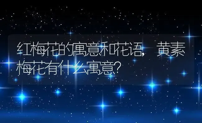 红梅花的寓意和花语,黄素梅花有什么寓意？ | 养殖科普