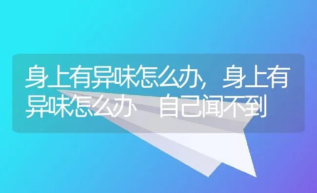 身上有异味怎么办,身上有异味怎么办 自己闻不到 | 养殖资料