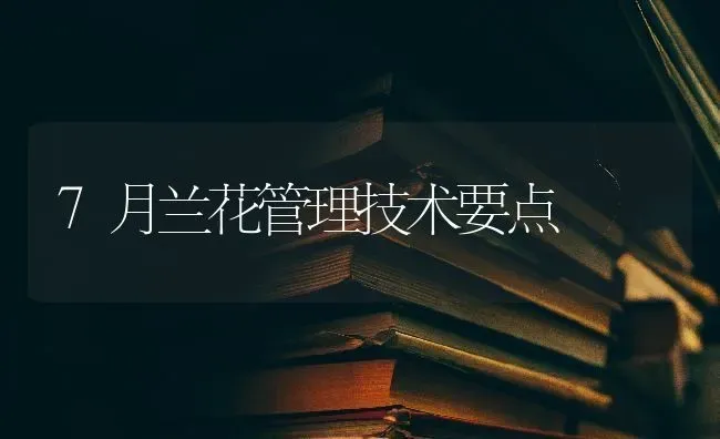 7月兰花管理技术要点 | 养殖知识