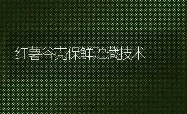 红薯谷壳保鲜贮藏技术 | 养殖知识