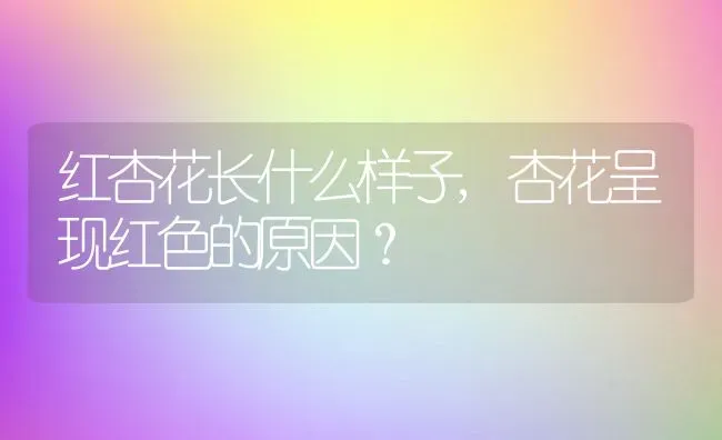 红杏花长什么样子,杏花呈现红色的原因？ | 养殖科普