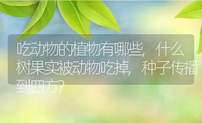 吃动物的植物有哪些,什么树果实被动物吃掉,种子传播到四方? | 养殖科普