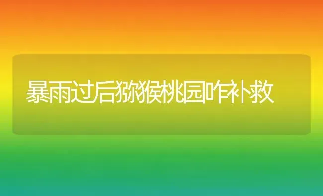 暴雨过后猕猴桃园咋补救 | 养殖技术大全