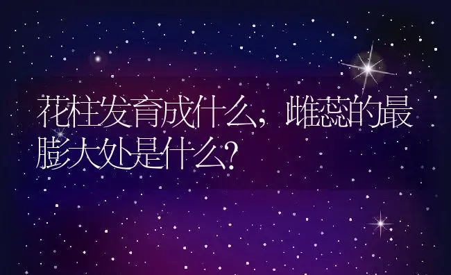 花柱发育成什么,雌蕊的最膨大处是什么？ | 养殖科普