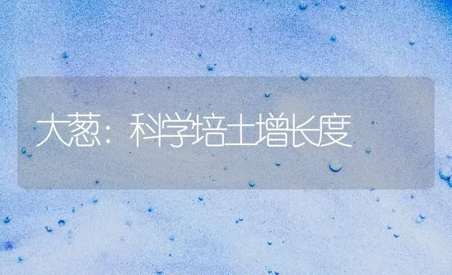 大葱：科学培土增长度 | 养殖知识