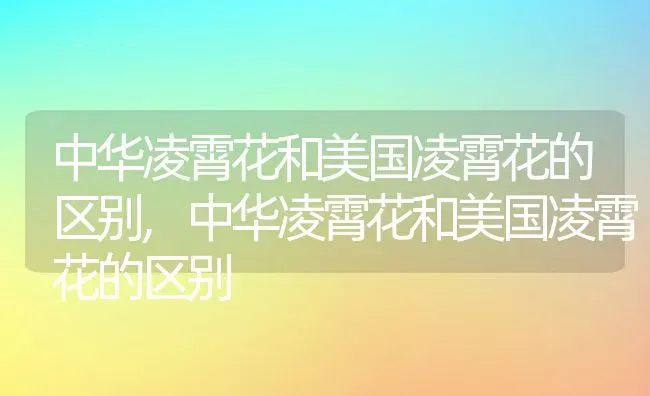 中华凌霄花和美国凌霄花的区别,中华凌霄花和美国凌霄花的区别 | 养殖科普