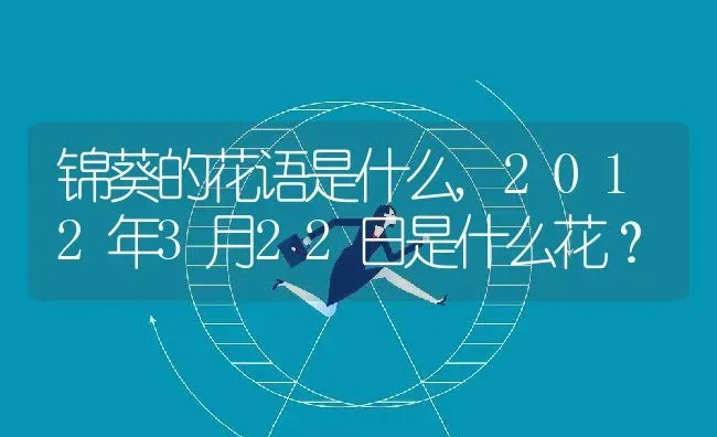 锦葵的花语是什么,2012年3月22日是什么花？ | 养殖学堂