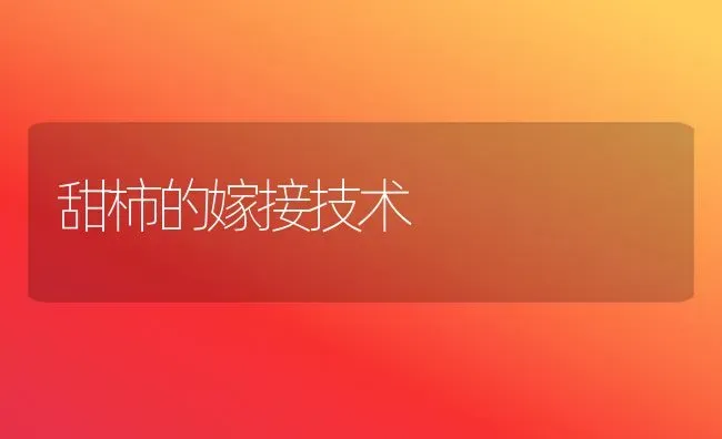 甜柿的嫁接技术 | 养殖技术大全