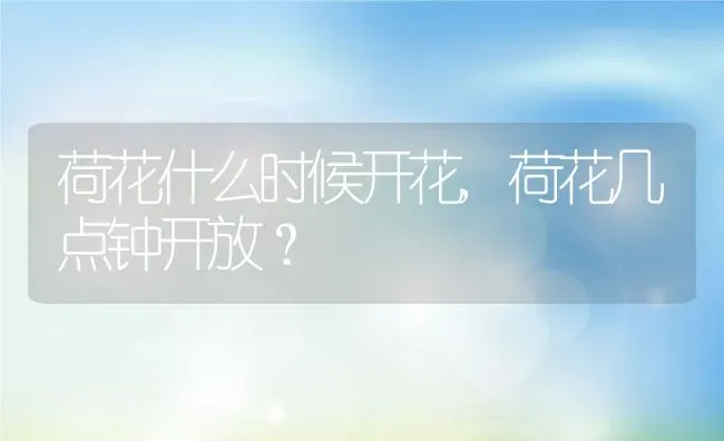 荷花什么时候开花,荷花几点钟开放？ | 养殖科普