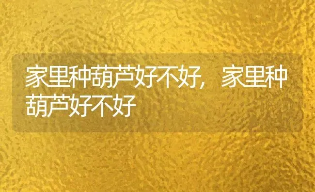 家里种葫芦好不好,家里种葫芦好不好 | 养殖科普