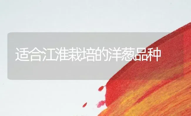 适合江淮栽培的洋葱品种 | 养殖技术大全