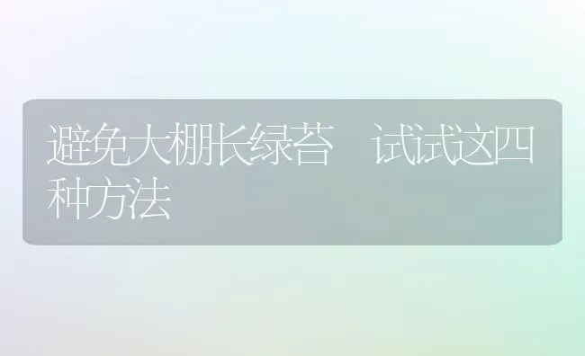 避免大棚长绿苔 试试这四种方法 | 养殖技术大全