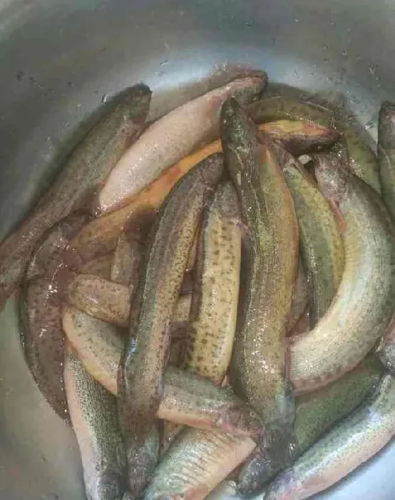 什么人不能吃泥鳅 | 生活常识