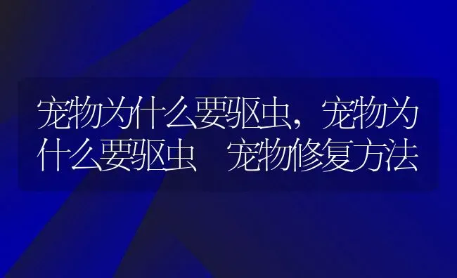 宠物为什么要驱虫,宠物为什么要驱虫 宠物修复方法 | 养殖资料