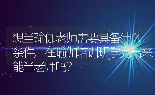 想当瑜伽老师需要具备什么条件,在瑜伽培训班学完出来能当老师吗？ | 养殖科普