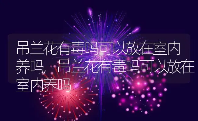 吊兰花有毒吗可以放在室内养吗,吊兰花有毒吗可以放在室内养吗 | 养殖科普