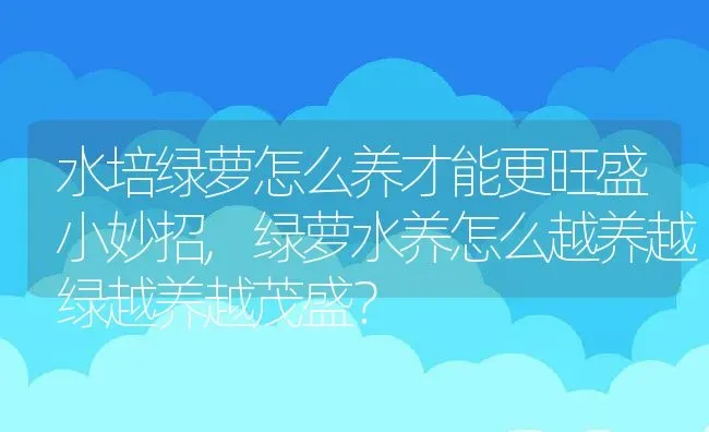 水培绿萝怎么养才能更旺盛小妙招,绿萝水养怎么越养越绿越养越茂盛？ | 养殖学堂