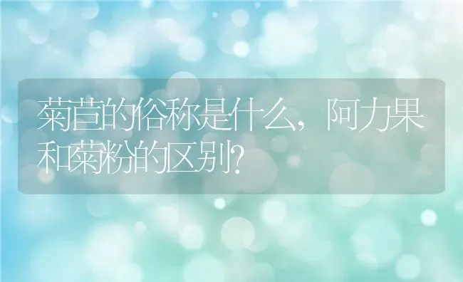 菊苣的俗称是什么,阿力果和菊粉的区别？ | 养殖科普